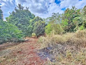 imagem 5 - Chácara à venda no Condomínio Azarias Hill, próximo à Marginal da Pedreira Inderp - Ribeirão Preto/SP. imagem 5 - Chácara à venda no Condomínio Azarias Hill, próximo à Marginal da Pedreira Inderp - Ribeirão Preto/SP.