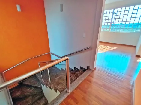 imagem 3 - Casa - Térrea Padrão imagem 3 - Casa - Térrea Padrão