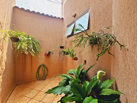 imagem 3 - Casa - Térrea Padrão imagem 3 - Casa - Térrea Padrão