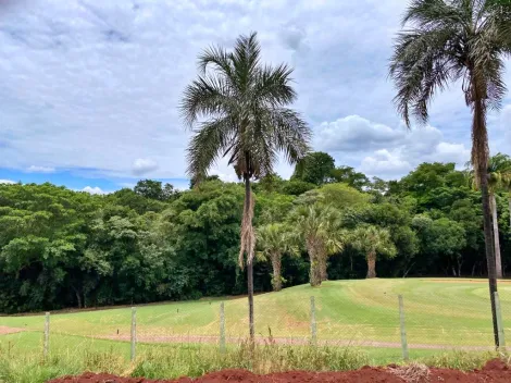 Alugar Terreno / Condomínio em Ribeirão Preto. apenas R$ 1.191.547,00