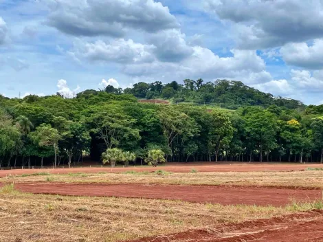 imagem 3 - Terreno à venda no Condomínio Reserva do Ipê, próximo ao Shopping Iguatemi - Ribeirão Preto/SP imagem 3 - Terreno à venda no Condomínio Reserva do Ipê, próximo ao Shopping Iguatemi - Ribeirão Preto/SP