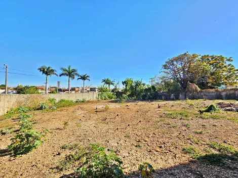 imagem 4 - Galpão comercial para venda e locação no Bairro República, próximo a Avenida Caramuru - Ribeirão Preto/SP. imagem 4 - Galpão comercial para venda e locação no Bairro República, próximo a Avenida Caramuru - Ribeirão Preto/SP.