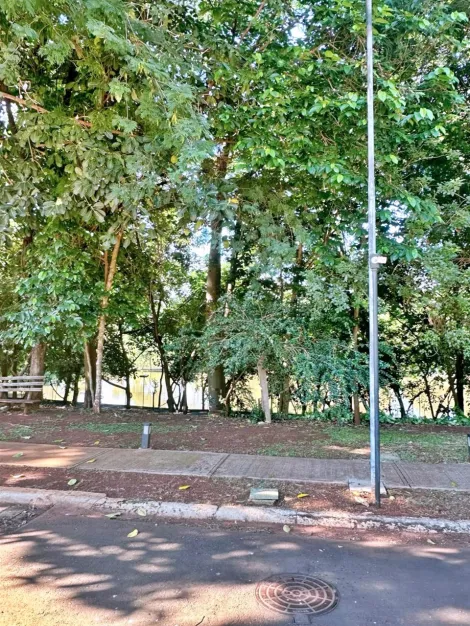 Ribeirão Preto - Bonfim Paulista - Terreno - Condomínio - Venda