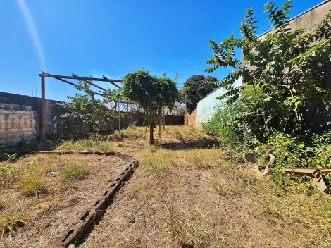 imagem 4 - Terreno - Padrão imagem 4 - Terreno - Padrão