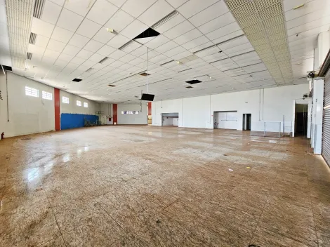 imagem 1 - Galpão comercial para locação no Bairro Jardim Botânico, próximo ao Parque Carlos Raya - Ribeirão Preto/SP. imagem 1 - Galpão comercial para locação no Bairro Jardim Botânico, próximo ao Parque Carlos Raya - Ribeirão Preto/SP.