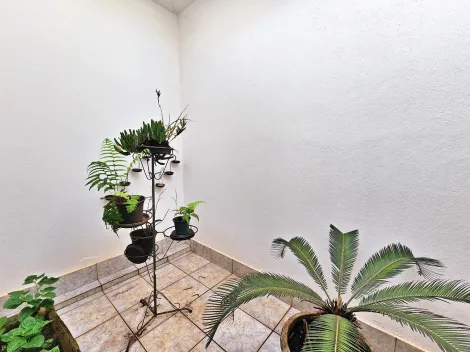 imagem 4 - Casa térrea à venda no Bairro Parque Anhanguera, próximo à Rodovia Anhanguera - Ribeirão Preto/SP. imagem 4 - Casa térrea à venda no Bairro Parque Anhanguera, próximo à Rodovia Anhanguera - Ribeirão Preto/SP.