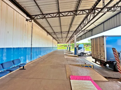imagem 4 - Galpão comercial para locação no Bairro Rodovia Anhanguera, excelente localização, próximo à antiga Leite Nilza - Ideal para transportadoras, em Ribeirão Preto/SP. imagem 4 - Galpão comercial para locação no Bairro Rodovia Anhanguera, excelente localização, próximo à antiga Leite Nilza - Ideal para transportadoras, em Ribeirão Preto/SP.