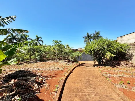 imagem 1 - Casa térrea comercial à venda no Bairro Ribeirânia, localizado na Avenida Costábile Romano, próximo a Unaerp - Ribeirão Preto/SP. imagem 1 - Casa térrea comercial à venda no Bairro Ribeirânia, localizado na Avenida Costábile Romano, próximo a Unaerp - Ribeirão Preto/SP.