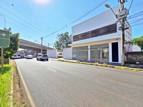 imagem 1 - Salão comercial para locação no Bairro Jardim Macedo, próximo a Avenida Maria de Jesus Condeixa - Ribeirão Preto/SP. imagem 1 - Salão comercial para locação no Bairro Jardim Macedo, próximo a Avenida Maria de Jesus Condeixa - Ribeirão Preto/SP.