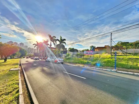 imagem 3 - Terreno Comercial de Esquina com 1.800m² de área terreno para Locação na Avenida Leão XIII, Próximo à Unaerp - Bairro Ribeirânia, Ribeirão Preto/SP. imagem 3 - Terreno Comercial de Esquina com 1.800m² de área terreno para Locação na Avenida Leão XIII, Próximo à Unaerp - Bairro Ribeirânia, Ribeirão Preto/SP.