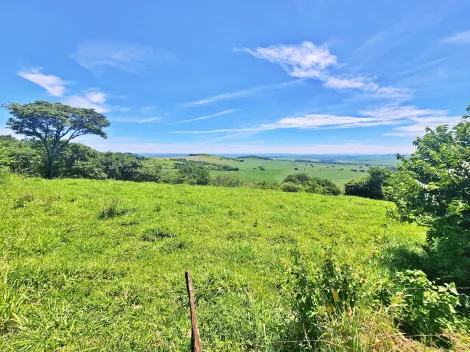 imagem 2 - Chácara mista à venda, próximo à Fazenda Vista Linda - Ribeirão Preto/SP. imagem 2 - Chácara mista à venda, próximo à Fazenda Vista Linda - Ribeirão Preto/SP.