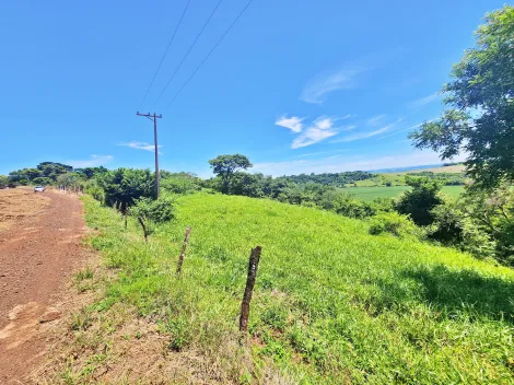imagem 3 - Chácara mista à venda, próximo à Fazenda Vista Linda - Ribeirão Preto/SP. imagem 3 - Chácara mista à venda, próximo à Fazenda Vista Linda - Ribeirão Preto/SP.