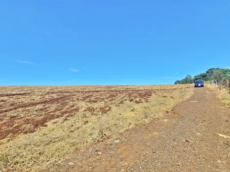 imagem 3 - Chácara mista à venda, próximo à Fazenda Vista Linda - Ribeirão Preto/SP. imagem 3 - Chácara mista à venda, próximo à Fazenda Vista Linda - Ribeirão Preto/SP.