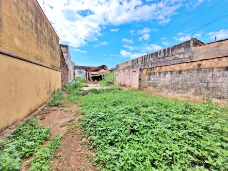 imagem 1 - Terreno comercial para venda e locação no Bairro Campos Elíseos, próximo à Av. Dr. Francisco Junqueira - Ribeirão Preto/SP. imagem 1 - Terreno comercial para venda e locação no Bairro Campos Elíseos, próximo à Av. Dr. Francisco Junqueira - Ribeirão Preto/SP.
