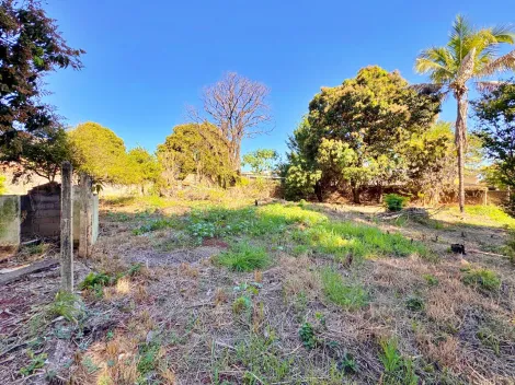 imagem 4 - Terreno à venda no Bairro Parque São Sebastião, próximo ao Clube dos Comerciários - Ribeirão Preto/SP. imagem 4 - Terreno à venda no Bairro Parque São Sebastião, próximo ao Clube dos Comerciários - Ribeirão Preto/SP.