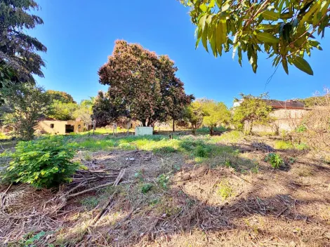 imagem 5 - Terreno à venda no Bairro Parque São Sebastião, próximo ao Clube dos Comerciários - Ribeirão Preto/SP. imagem 5 - Terreno à venda no Bairro Parque São Sebastião, próximo ao Clube dos Comerciários - Ribeirão Preto/SP.