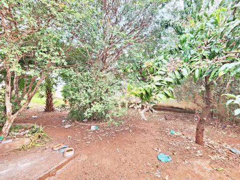 imagem 1 - Casa térrea à venda no Bairro Vila Elisa, próximo a Avenida Brasil - Ribeirão Preto/SP. imagem 1 - Casa térrea à venda no Bairro Vila Elisa, próximo a Avenida Brasil - Ribeirão Preto/SP.