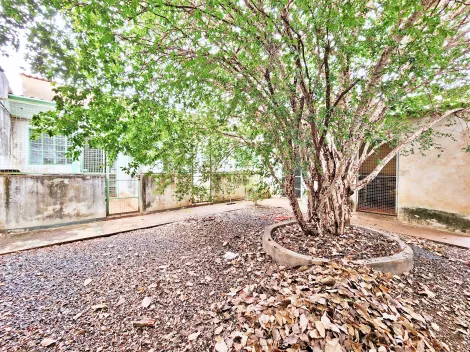 imagem 5 - Casa térrea à venda no Bairro Vila Elisa, próximo a Avenida Brasil - Ribeirão Preto/SP. imagem 5 - Casa térrea à venda no Bairro Vila Elisa, próximo a Avenida Brasil - Ribeirão Preto/SP.