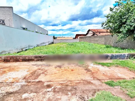 imagem 1 - Terreno comercial à venda no Bairro City Ribeirão / Avenida Antônio Machado Sant`Anna, próximo à Av. Maurílio Biagi - Ribeirão Preto/SP. imagem 1 - Terreno comercial à venda no Bairro City Ribeirão / Avenida Antônio Machado Sant`Anna, próximo à Av. Maurílio Biagi - Ribeirão Preto/SP.