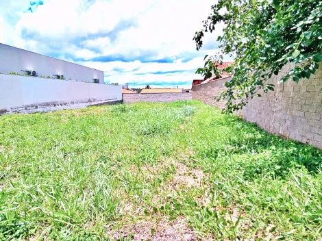 imagem 4 - Terreno comercial à venda no Bairro City Ribeirão / Avenida Antônio Machado Sant`Anna, próximo à Av. Maurílio Biagi - Ribeirão Preto/SP. imagem 4 - Terreno comercial à venda no Bairro City Ribeirão / Avenida Antônio Machado Sant`Anna, próximo à Av. Maurílio Biagi - Ribeirão Preto/SP.