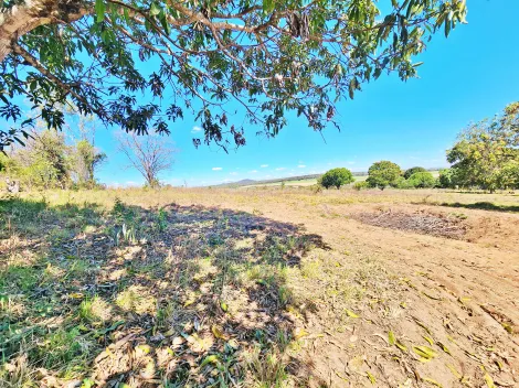 imagem 1 - Sítio à venda na Área Rural - Altinópolis/SP. imagem 1 - Sítio à venda na Área Rural - Altinópolis/SP.