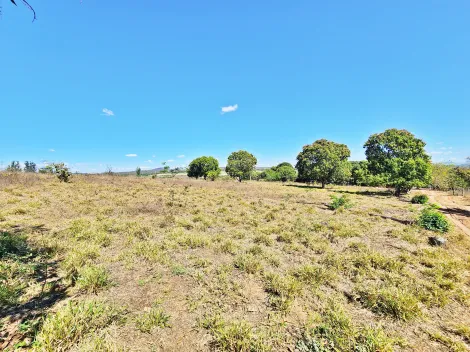 imagem 2 - Sítio à venda na Área Rural - Altinópolis/SP. imagem 2 - Sítio à venda na Área Rural - Altinópolis/SP.