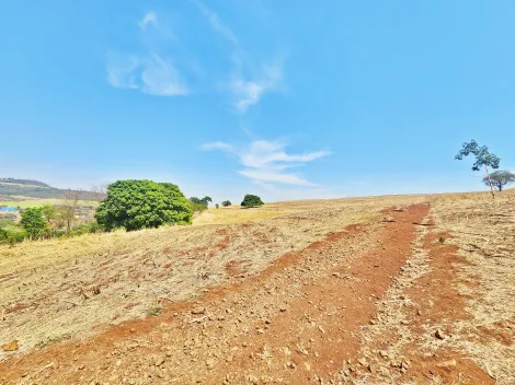 imagem 1 - Sítio à venda na Zona Rural, próximo à Av. dos Estados - São Simão/SP. imagem 1 - Sítio à venda na Zona Rural, próximo à Av. dos Estados - São Simão/SP.