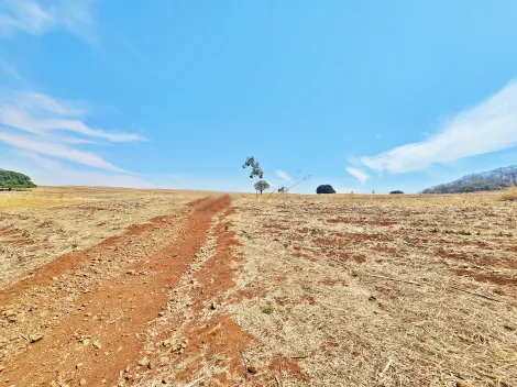 imagem 2 - Sítio à venda na Zona Rural, próximo à Av. dos Estados - São Simão/SP. imagem 2 - Sítio à venda na Zona Rural, próximo à Av. dos Estados - São Simão/SP.