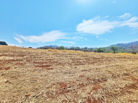 imagem 3 - Sítio à venda na Zona Rural, próximo à Av. dos Estados - São Simão/SP. imagem 3 - Sítio à venda na Zona Rural, próximo à Av. dos Estados - São Simão/SP.