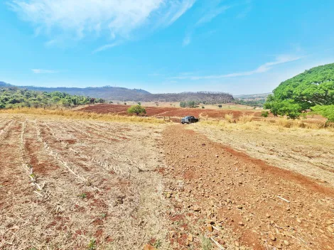 imagem 4 - Sítio à venda na Zona Rural, próximo à Av. dos Estados - São Simão/SP. imagem 4 - Sítio à venda na Zona Rural, próximo à Av. dos Estados - São Simão/SP.