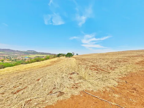imagem 5 - Sítio à venda na Zona Rural, próximo à Av. dos Estados - São Simão/SP. imagem 5 - Sítio à venda na Zona Rural, próximo à Av. dos Estados - São Simão/SP.