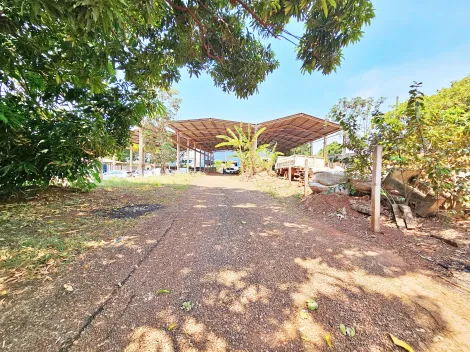 imagem 1 - Imóvel comercial para locação no Bairro Lagoinha, próximo a Rodovia Anhanguera - Ribeirão Preto/SP. imagem 1 - Imóvel comercial para locação no Bairro Lagoinha, próximo a Rodovia Anhanguera - Ribeirão Preto/SP.